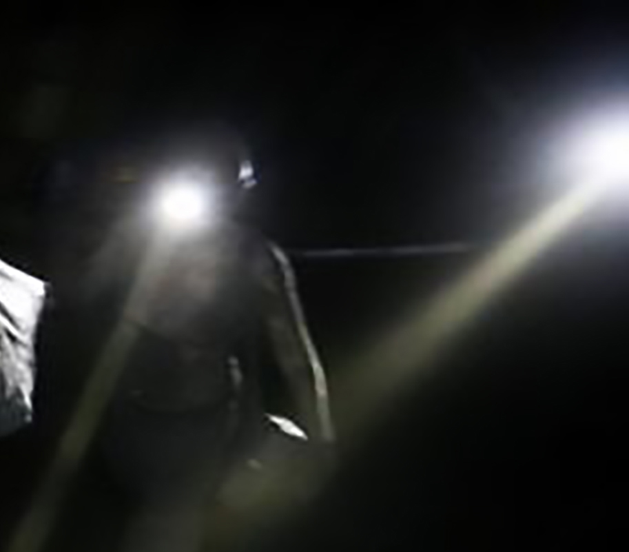 Model Mimic Messenger